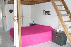 Seru Coral bed