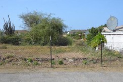 kv haneneber