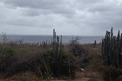 West annem 010